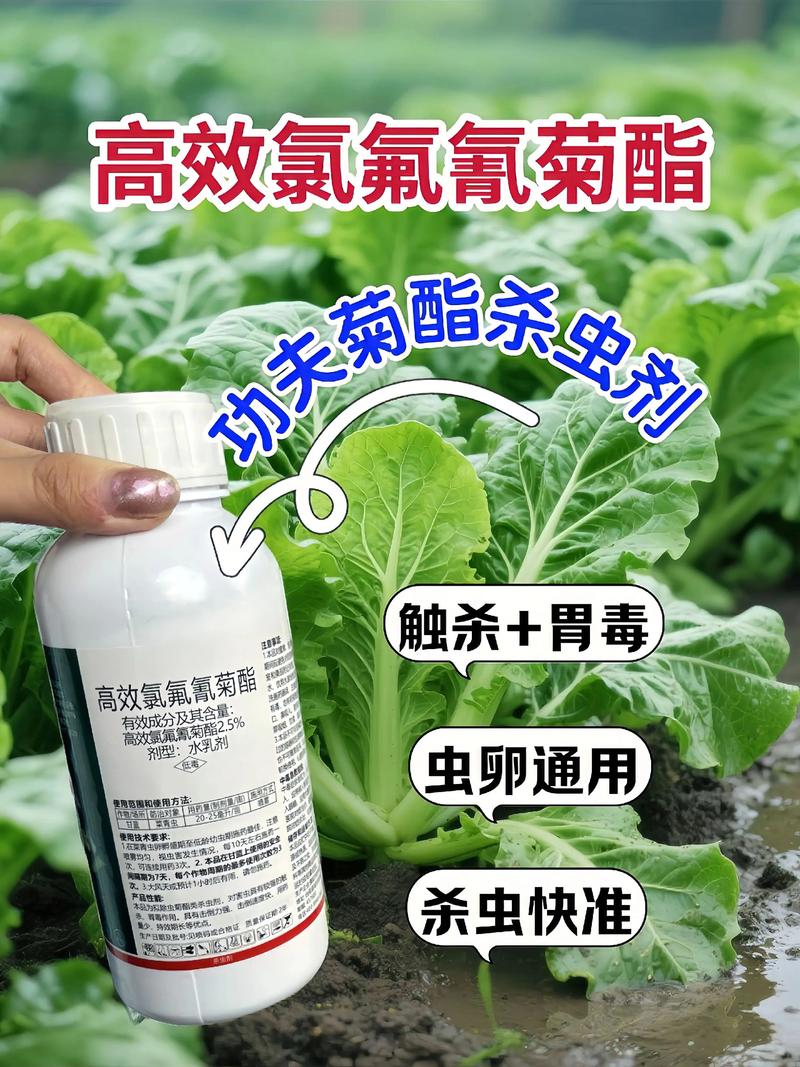 滨州代生中心:农药对供卵代生妈妈的危害